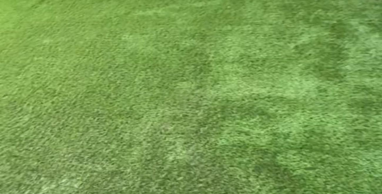 Houston synthetic turf, artificial grass installed by Bezuz Lawn and Landscaping